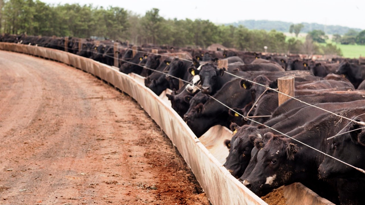 Crédito para agricultura sustentável encolhe R$ 5 bi no primeiro trimestre da safra 2025/26