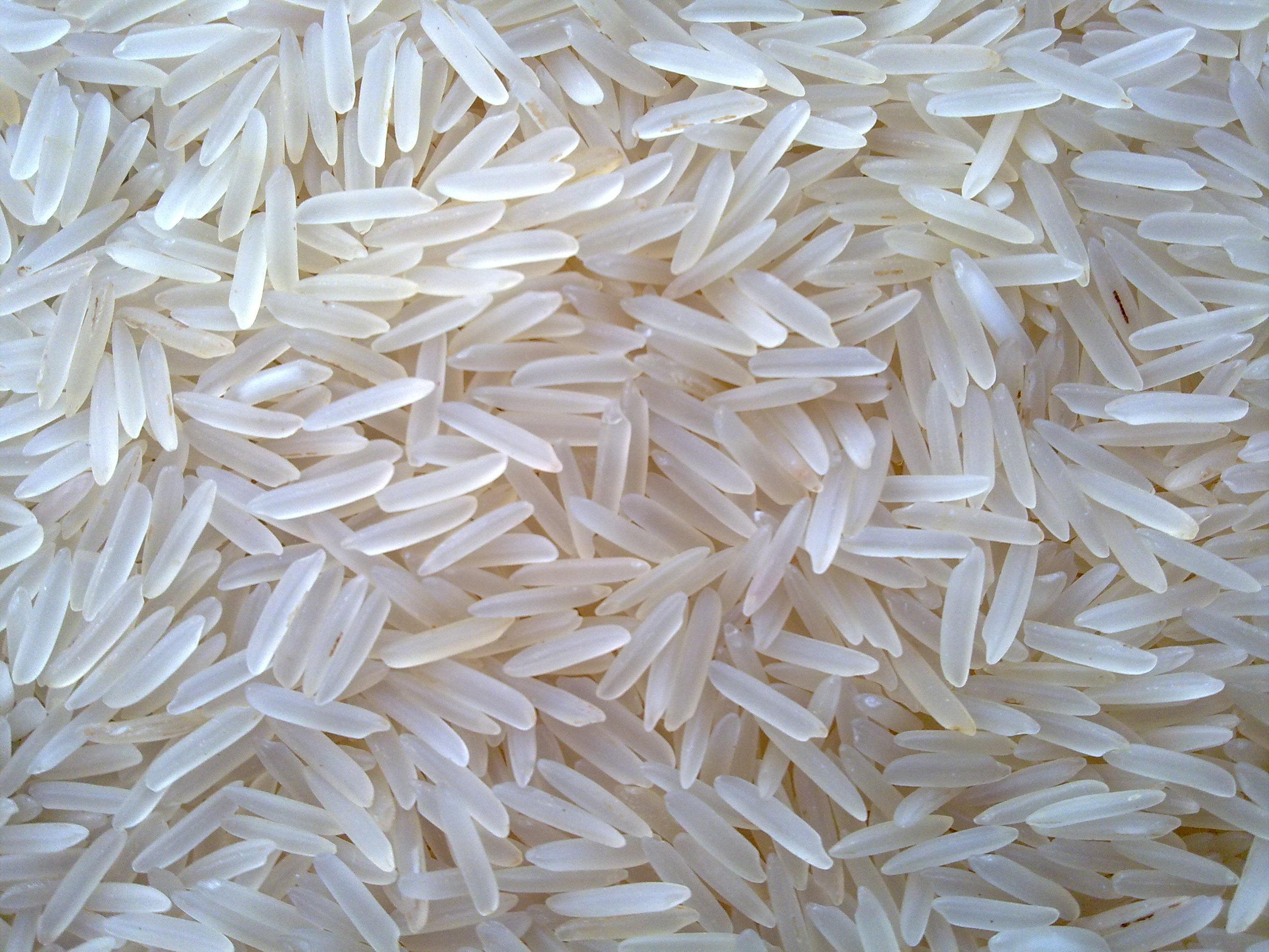 Em relação ao IIPR, a taxa cambial e o bom desempenho das exportações sustentaram os preços da soja, arroz e suínos.