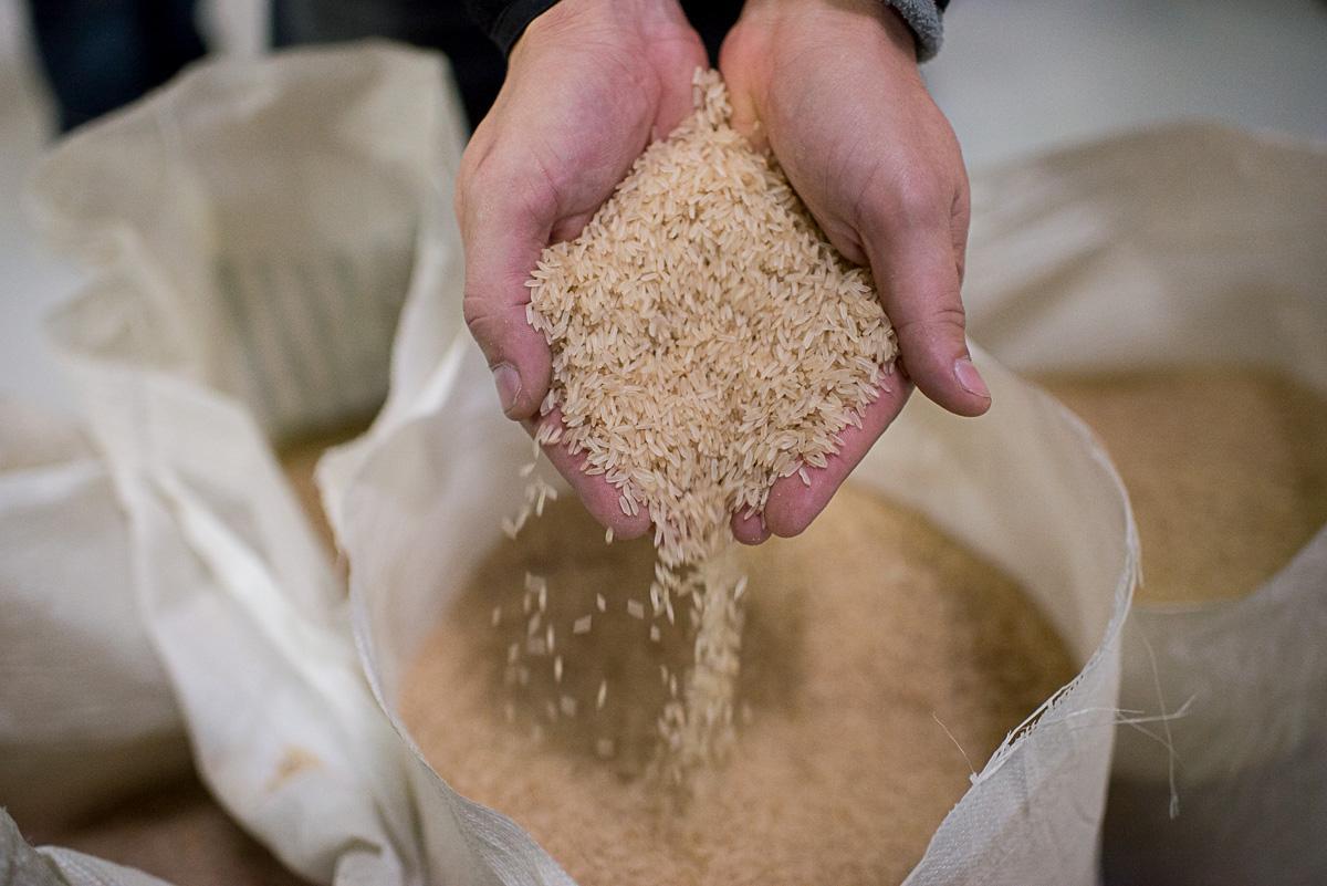 Produtores e armazenadores de arroz nos Estados de Mato Grosso, Rio Grande do Sul e Santa Catarina começam a receber as senhas de acesso ao Sistema de Pesquisa de Estoque Privados (Sipesp) a partir desta sexta-feira, 28