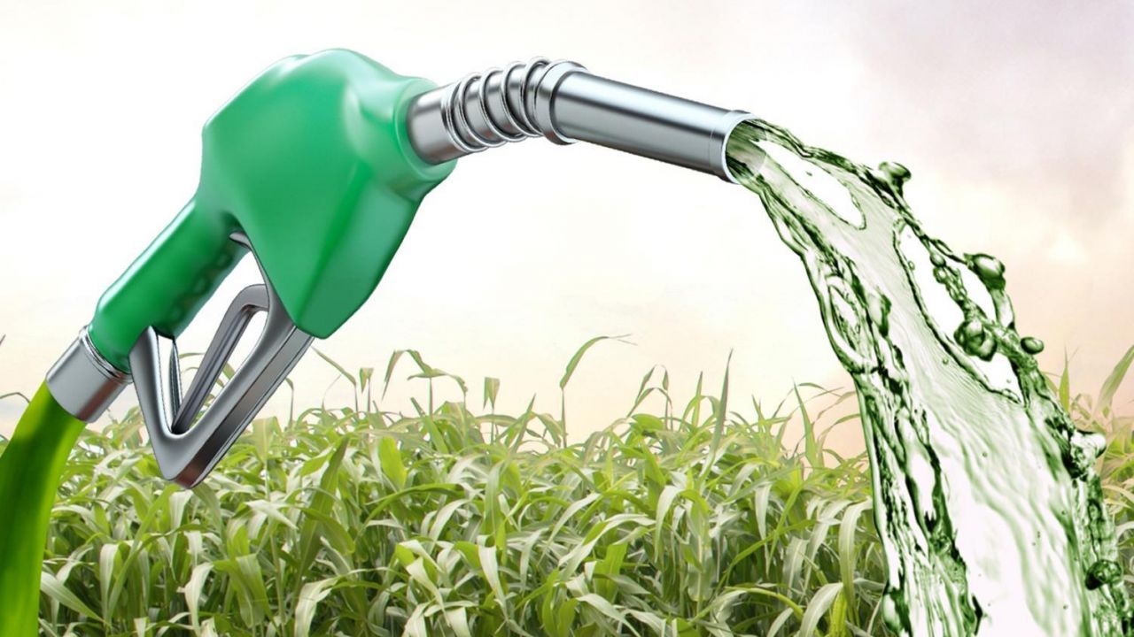 Etanol: biocombustível subiu em seis Estados e ficou estável em dois: Amapá e Paraíba