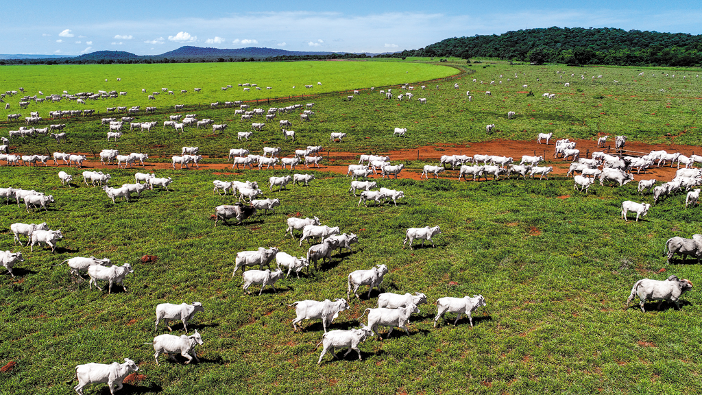 Entre as proteínas, a carne bovina deve ter expansão de 22%, para R$ 140,2 bilhões