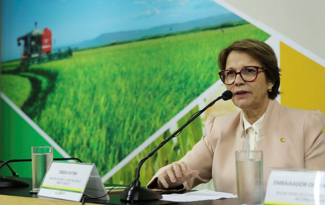 A ministra da Agricultura, Pecuária e Abastecimento, Tereza Cristina
