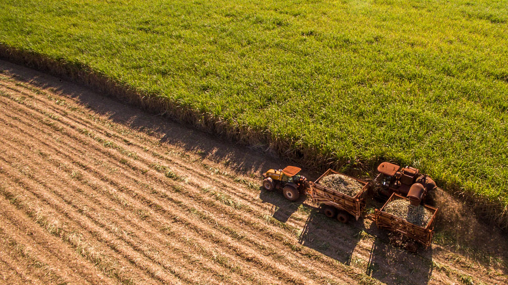 Agricultura contou com 8,5 milhões de trabalhadores no ano, contingente estável em relação a 2018