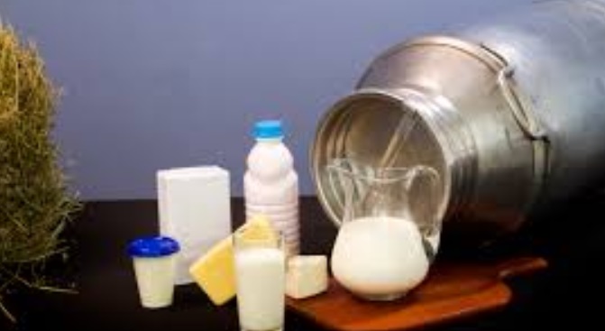O Conseleite remeterá ofícios aos governos estadual e federal com reivindicações do setor lácteo