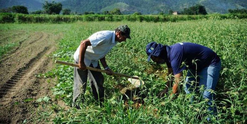 "Os juros aplicados hoje são incompatíveis com a produção agrícola brasileira", afirmou a ministra, segundo nota da Contag