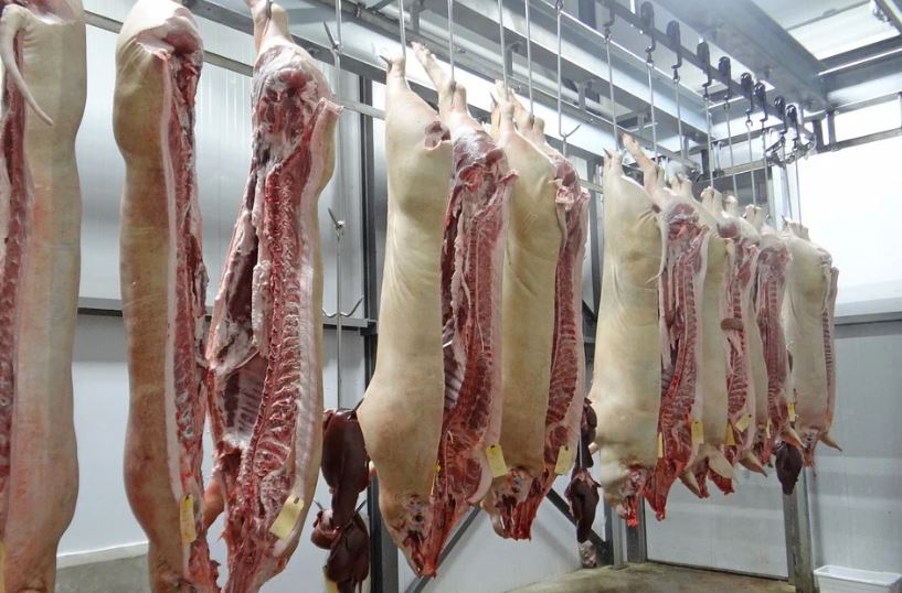No Brasil, as exportações de carne suína continuam fortes