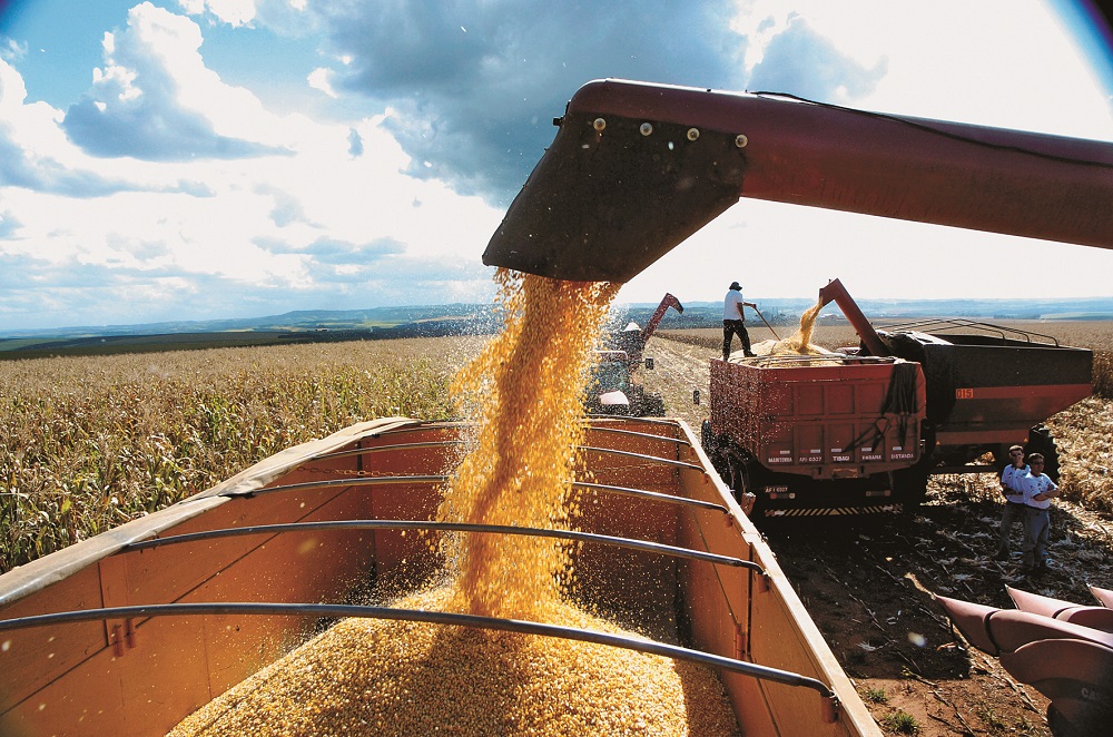 A pasta destaca que a boa distribuição das chuvas, além de uma menor incidência de doenças, ajudou os produtores de soja do estado