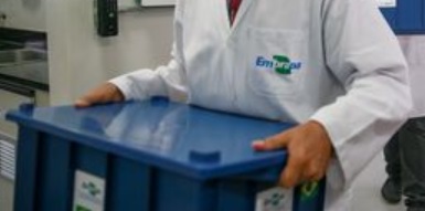 Os laboratórios da Empresa Brasileira de Pesquisa Agropecuária (Embrapa) e da Fundação Oswaldo Cruz (Fiocruz) foram incluídos na rede de análise para o diagnóstico do novo coronavírus (covid-19)