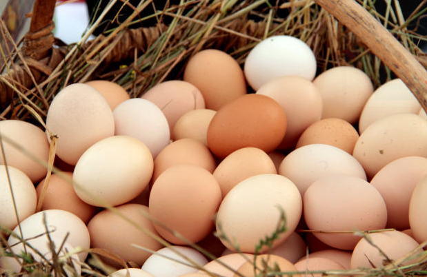 As cotações dos ovos vêm sendo pressionadas pela demanda enfraquecida