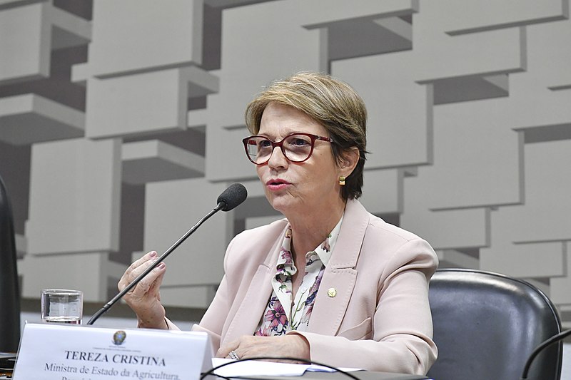 Ministra da Agricultura, Pecuária e Abastecimento (Mapa), Tereza Cristina