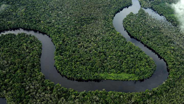 Carta será em defesa de uma recuperação econômica "verde" após a pandemia da covid-19 e o controle firme do desmatamento da Amazônia