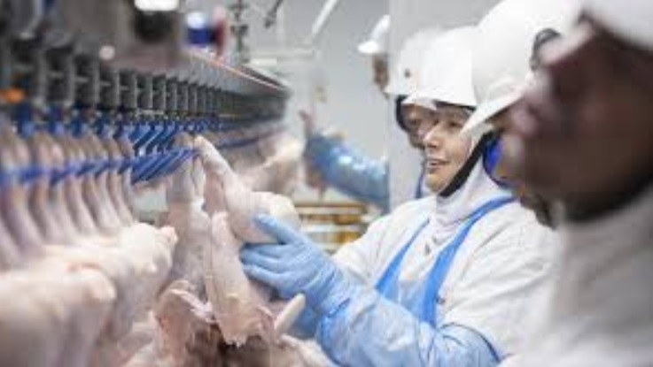 A BRF divulgou comunicado, por meio de sua assessoria de imprensa, no qual informa que não foi notificada oficialmente sobre a suspensão da habilitação para exportações de proteína de frango de sua unidade de Dourados (MS)