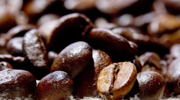Do total do café exportado na safra 2019-2020, 78,8% foram de grãos arábica; 11,1%, de robusta; 10%, solúveis; e 0,1%, torrados e moídos