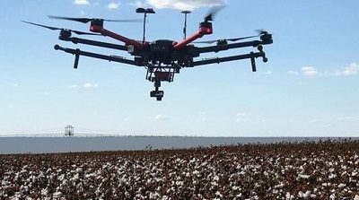 As agtechs, startups com soluções para o agronegócio, têm sido fornecedores de vasto número de ferramentas inovadoras, como análises de precisão e drones para modernizar o setor