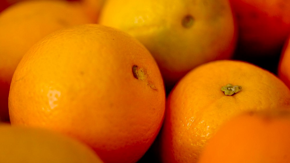 Em seis meses, essas frutas foram responsáveis por US$ 57,1 milhões em exportações, o que representa uma alta de 8% no valor exportado