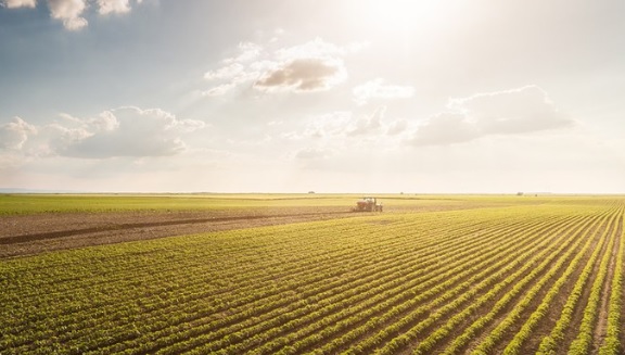 Com base nos dados de junho, o Valor Bruto da Produção Agropecuária (VBP) de 2020, deve crescer 8,8% chegando a R$ 716,6 bilhões, contra os R$ 658,8 bilhões de 2019