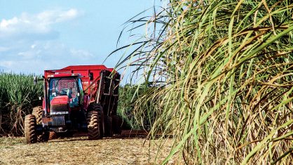 A produção de açúcar na primeira metade de agosto somou 3,22 milhões de toneladas
