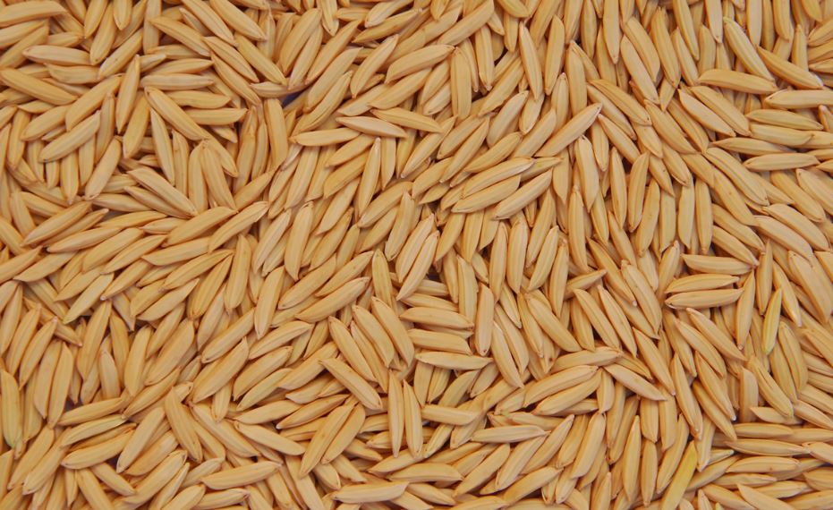 O arroz acumula uma alta de 19,25% em 2020 de acordo com o IBGE