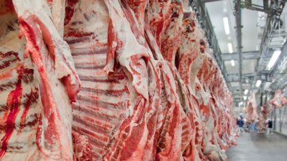 Analistas afirmam que as exportações de carnes do País mantiveram "uma trajetória impressionante em agosto"
