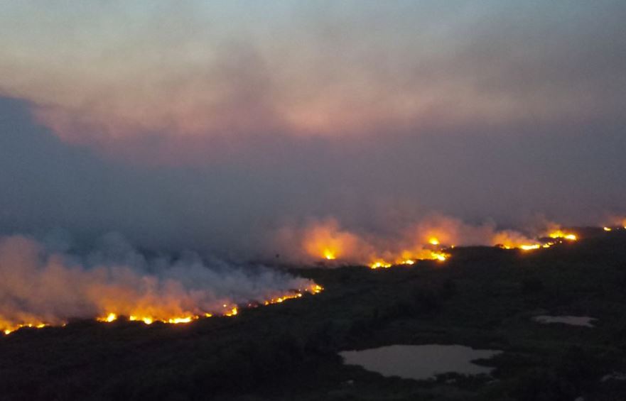 O governador Mauro Mendes diz que as chamas já atingiram cerca de 20% do bioma em território mato-grossense