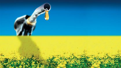 A entidade defende a importação de matéria-prima para garantir o abastecimento de biodiesel