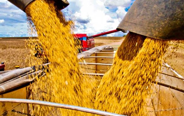 Em setembro, os volumes embarcados foram de 3,945 milhões de toneladas de soja em grão