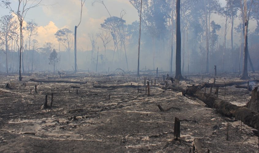 No Pantanal, este já é o pior ano desde que o Inpe começou a registrar os focos ativos de fogo, em 1998. Já na Amazônia, o número de ocorrências supera 2019