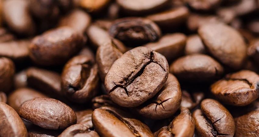 O café arábica voltou a superar os R$ 600 por saca