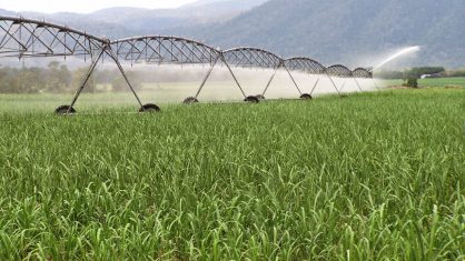 O aporte foi estimulado pelo "excelente desempenho" do mercado brasileiro de irrigação em 2020