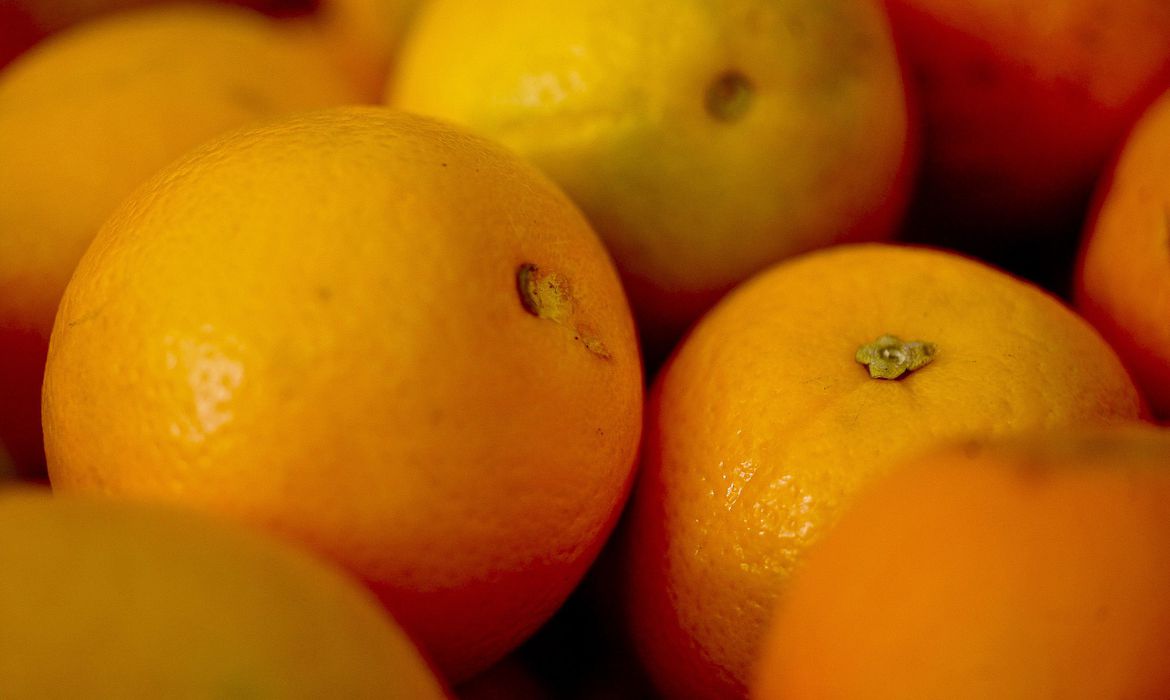 As vendas de suco de laranja nos Estados Unidos somaram 141,52 milhões de litros em dezembro do ano passado, de acordo com dados da Flórida