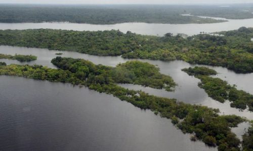O projeto visa arrecadar recursos para a preservação de parques da Amazônia