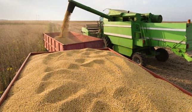 O Índice de Preços ao Produtor de Grupos de Produtos Agropecuários avançou 18,95% em 2020 em comparação com 2019