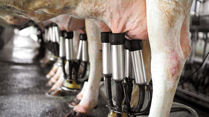 Segundo a pasta, o setor enfrenta aumento de custos que levaram à queda na relação de troca entre esses insumos e o leite