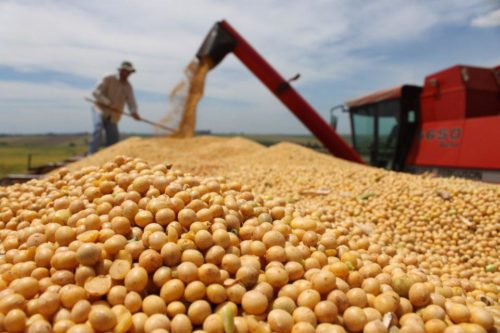 A colheita da soja no Rio Grande do Sul atinge 87% da área