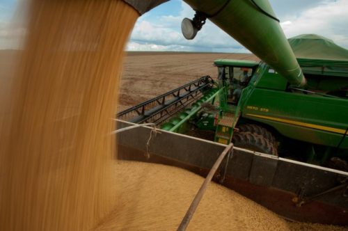 Segundo o Imea, as regiões que concluíram a colheita do grão na última semana foram o centro-sul do Estado, nordeste e sudeste