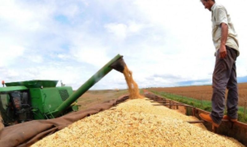 A previsão para a safra de soja no Brasil em 2020/21 deve ser aumentada, enquanto que a produção de milho deve apresentar redução nesta safra