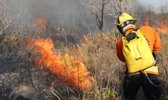 A média anual histórica de incêndios correspondente aos anos de 2015 a 2021, é de 13.486