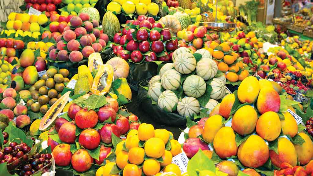 Pregon Agropecuario :: Catálogo de frutas: DAMASCO - Producciones de  Economias Regionales - Fruticultura
