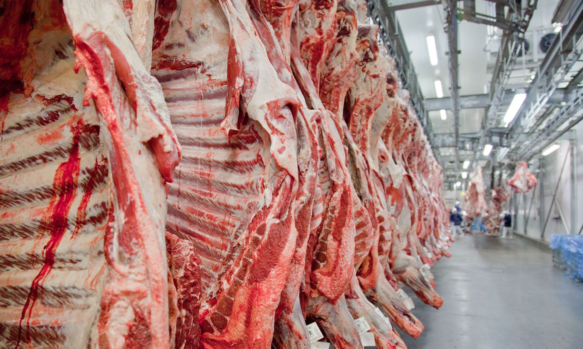 EUA Canadá Archives - BeefPoint  O ponto de encontro da cadeia produtiva  da carne bovina