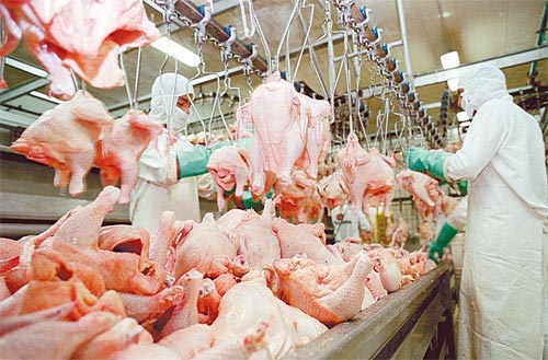 A tarifa antidumping sobre a carne de frango com osso brasileira é de 265% e ficará em vigor até junho deste ano