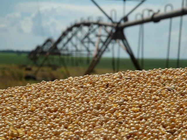 Abiove elevou em 100 mil toneladas a perspectiva de produção da soja em grão este ano
