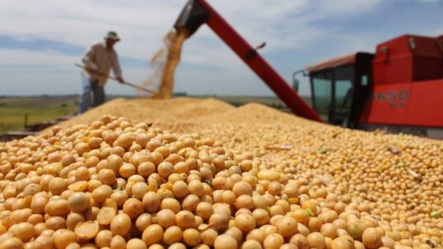 A Datagro informou também que a colheita de soja entrou na reta final no País