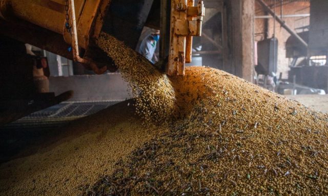Estima-se que 22 milhões de toneladas de grãos ficaram retidos na Ucrânia desde a invasão da Rússia