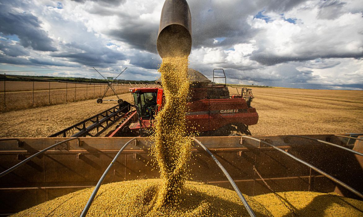 Na semana entre 11 e 17 de setembro, as exportações totalizaram 1,368 milhão de toneladas de milho e 623.477 toneladas de soja