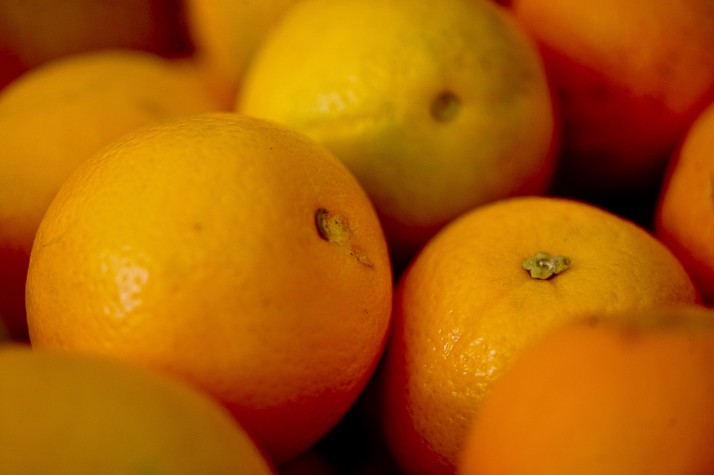 Cerca de 22,97 milhões de caixas de laranja deverão ser produzidas no Triângulo Mineiro