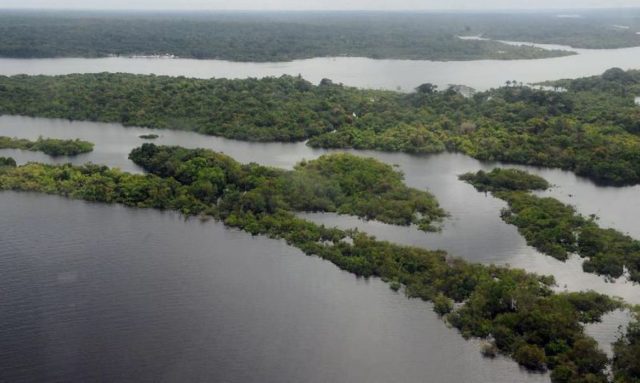 O Brasil tem seis anos para zerar a derrubada ilegal da floresta