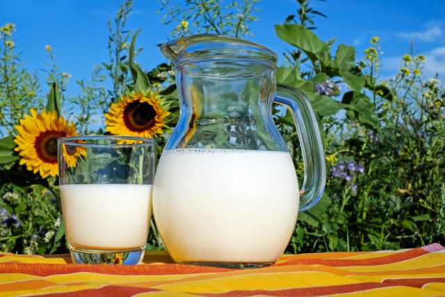 A Embrapa apurou que no mês passado o preço do leite ao produtor registrou aumento na comparação com julho