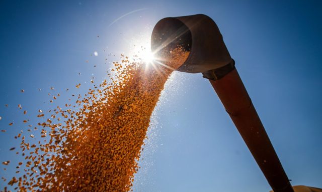O setor de etanol de milho espera produzir 10 bilhões de litros do produto até a safra 2030/2031