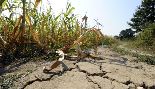 Na safra passada, a seca na Região Sul provocou uma quebra na produção de soja