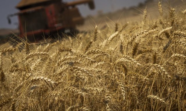 A estimativa para o consumo mundial de grãos foi elevada de 2,272 bilhões de toneladas para 2,275 bilhões de toneladas